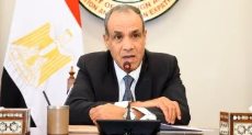 وزير الخارجية بدر عبد العاطي