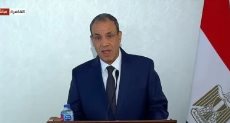 الدكتور بدر عبد العاطى وزير الخارجية