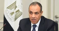 وزير الخارجية بدر عبد العاطى