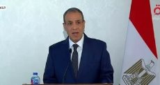 الدكتور بدر عبد العاطى وزير الخارجية