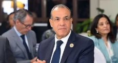وزير الخارجية بدر عبد العاطى
