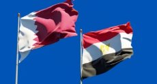 علما مصر وقطر