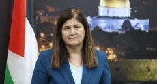 فارسين شاهين
