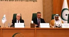 السفير الدكتور فائد مصطفى الأمين العام المساعد لجامعة الدول العربية