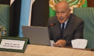 الأمين العام لجامعة الدول العربية أحمد أبو الغيط