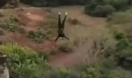 جانب من القفزة