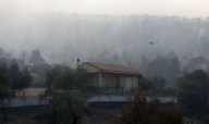 حرائق الغابات ـ صورة أرشيفية