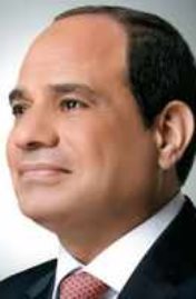 فخامة الرئيس عبد الفتاح السيسى