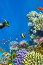 شرم الشيخ - أرشيفية