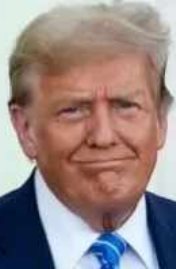 دونالد ترامب - الرئيس الأمريكى
