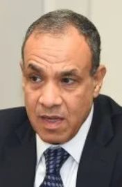 وزير الخارجية بدر عبد العاطى
