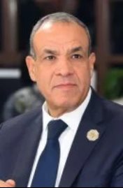 وزير الخارجية بدر عبد العاطى