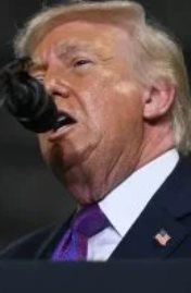 الرئيس الأمريكى دونالد ترامب