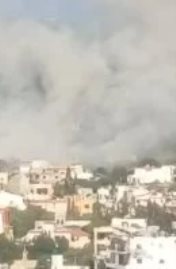 جنوب لبنان