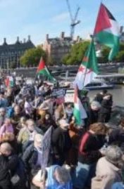 احتجاجات داعمة لفلسطين