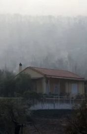 حرائق الغابات ـ صورة أرشيفية